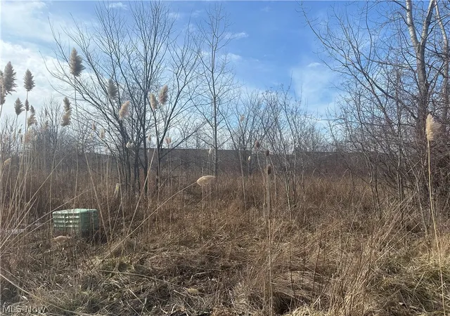 1st image of Charles Dr, Lorain, OH 44053 | MLS# 5187396