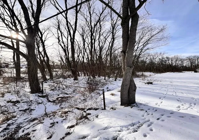 Homes for sale in Wadsworth, OH | V/l Hartman Rd, Wadsworth, OH 44281 | MLS# 5181446