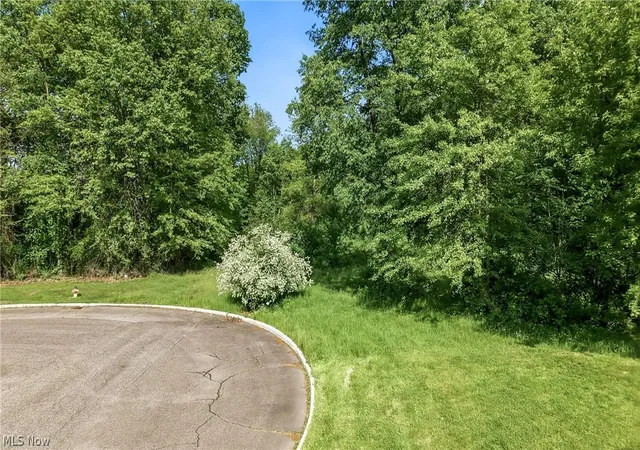 2nd image of Cheeks Ct, Cortland, OH 44410 | MLS# 5187643