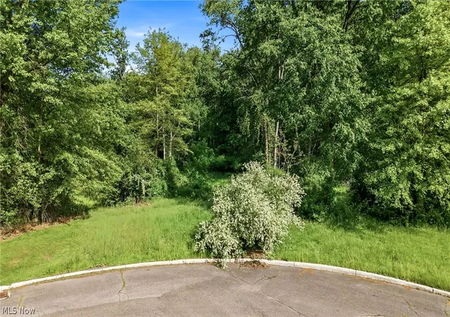 3rd image of Cheeks Ct, Cortland, OH 44410 | MLS# 5187643