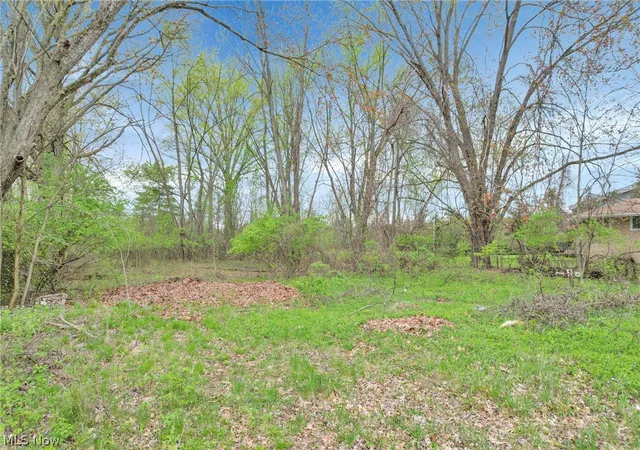 3rd image of 2423 Stelzer Rd, Columbus, OH 43219 | MLS# 5187963