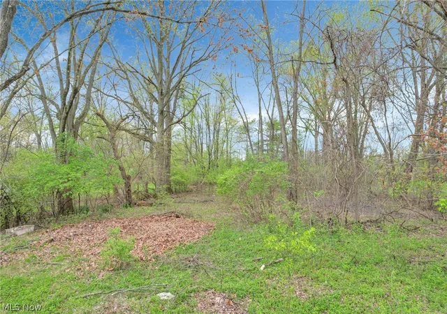 4th image of 2423 Stelzer Rd, Columbus, OH 43219 | MLS# 5187963