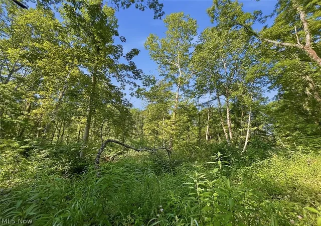 Photo 2 of Land for sale at 0 State Route 155 Se, Corning, OH 43730 | MLS# 5188626 | Listing updated on 2026-08-26