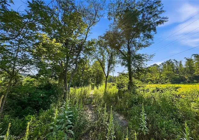 Photo 4 of Land for sale at 0 State Route 155 SE, Corning, OH 43730 | MLS# 5188626 | Listing updated on 2026-08-26