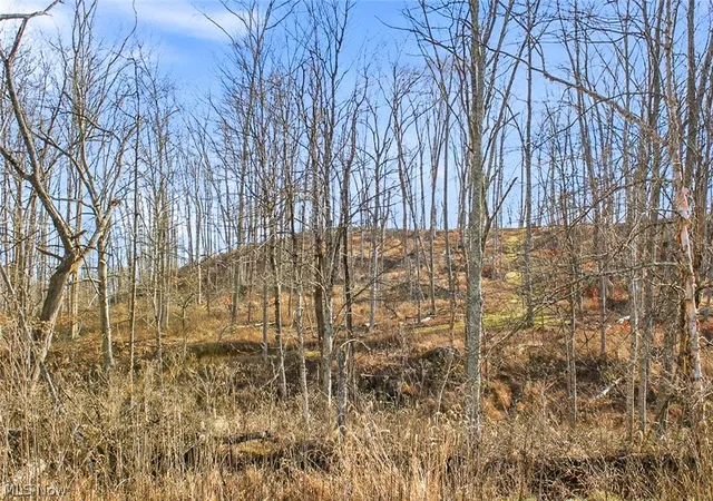 Photo 50 of Land for sale at 0 State Route 155 Se, Corning, OH 43730 | MLS# 5188626 | Listing updated on 2026-08-26