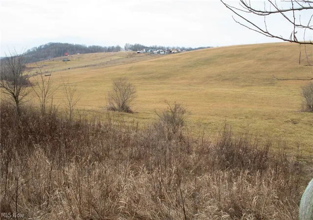 Homes for sale in Newcomerstown, OH | 20451 Cr 410, Newcomerstown, OH 43832 | MLS# 5189877