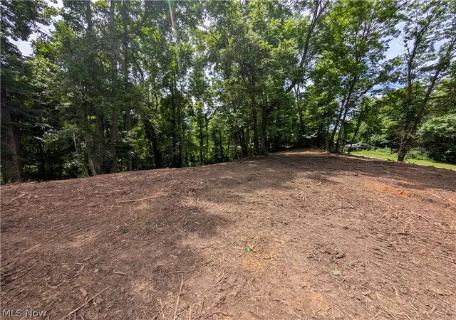 Homes for sale in New Lexington, OH | 0 Township Road 215, New Lexington, OH 43764 | MLS# 5190553