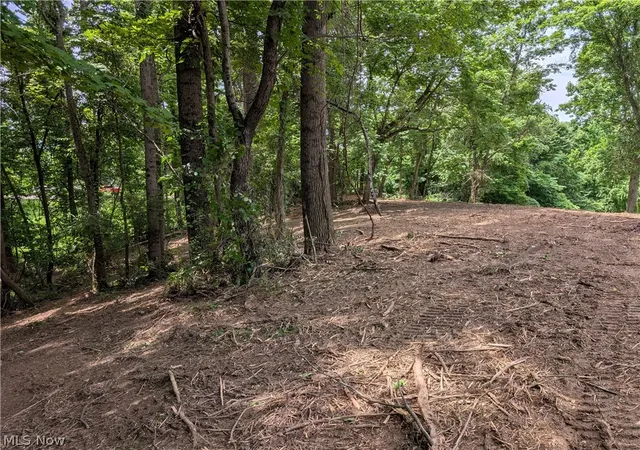 Homes for sale in New Lexington, OH | 0 Township Road 215, New Lexington, OH 43764 | MLS# 5190553