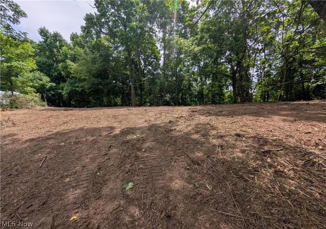Homes for sale in New Lexington, OH | 0 Township Road 215, New Lexington, OH 43764 | MLS# 5190553