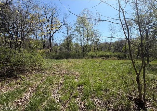 Homes for sale in Coshocton, OH | 26774 Township Road 37, Coshocton, OH 43812 | MLS# 5190981
