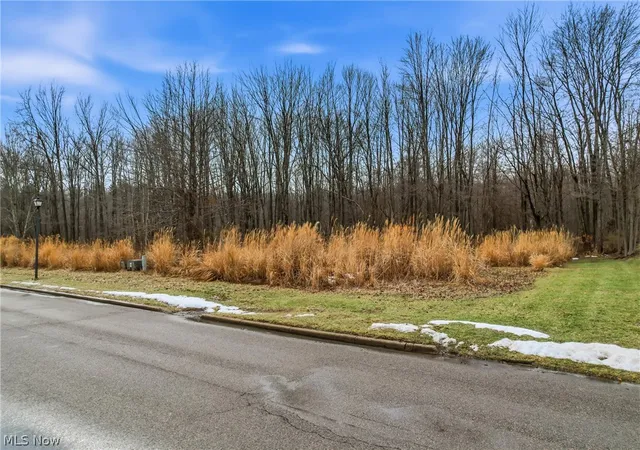 Photo 2 of Land for sale at Lakeview Dr, Hubbard, OH 44425 | MLS# 5191335 | Listing updated on 2026-06-04