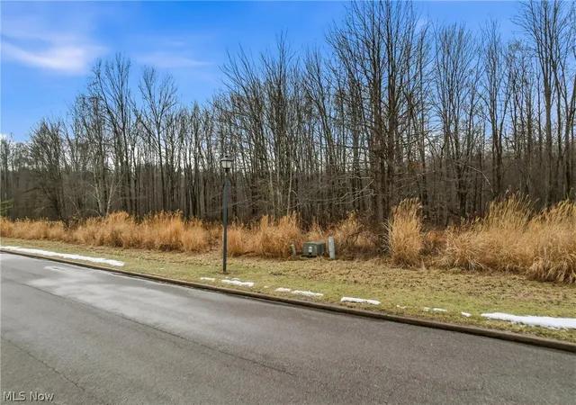 Photo 3 of Land for sale at Lakeview Dr, Hubbard, OH 44425 | MLS# 5191335 | Listing updated on 2026-06-04