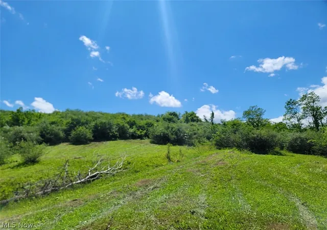 1st image of V/l Shephard, Bethesda, OH 43719 | MLS# 5192451