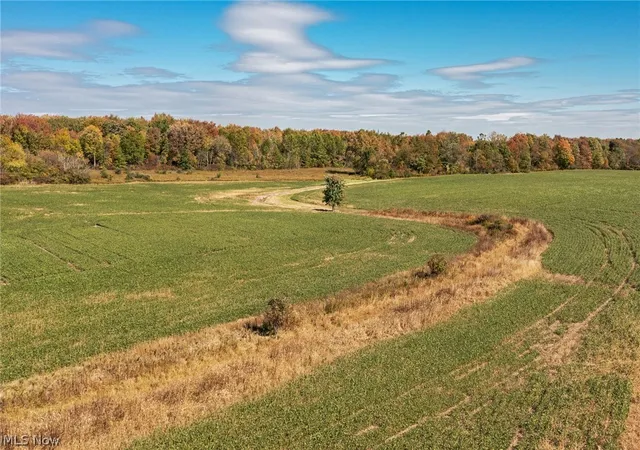Homes for sale in Garrettsville, OH | 9310 Slagle Rd, Garrettsville, OH 44231 | MLS# 5193432
