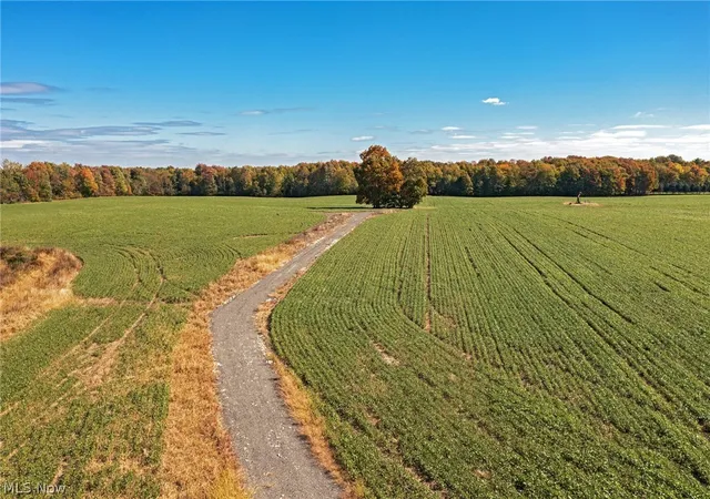 Homes for sale in Garrettsville, OH | 9310 Slagle Rd, Garrettsville, OH 44231 | MLS# 5193432