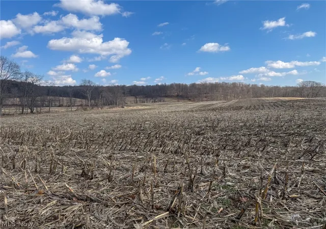 Photo 13 of Land for sale at St Rt 603, Lucas, OH 44843 | MLS# 5193440 | Listing updated on 2026-03-15