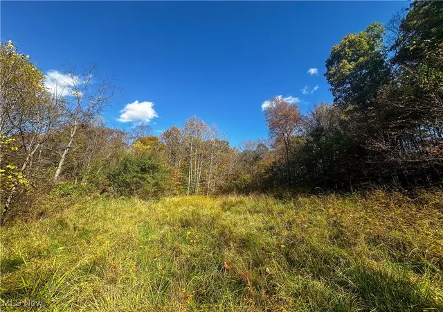 Homes for sale in Cutler, OH | 0 Clark Rd, Cutler, OH 45724 | MLS# 5180093