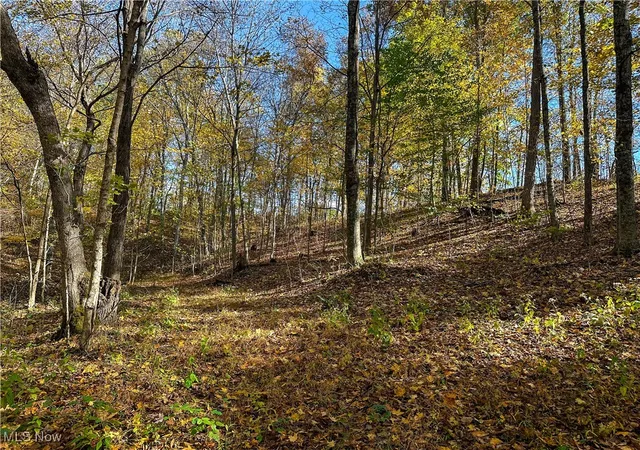 Homes for sale in Cutler, OH | 0 Clark Rd, Cutler, OH 45724 | MLS# 5180093