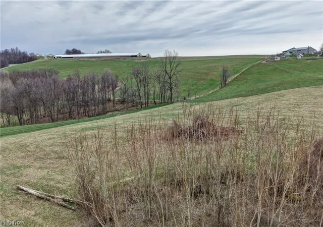 Homes for sale in Dundee, OH | 10316 Lower Trail Rd Nw, Dundee, OH 44624 | MLS# 5193261