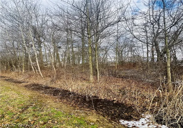 Land for sale at Lot 115 Breezewood Ln, Orwell, OH 44076 | MLS# 5194406
