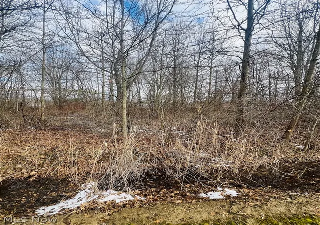 Photo 2 of Land for sale at Lot 115 Breezewood Ln, Orwell, OH 44076 | MLS# 5194406 | Listing updated on 2026-08-26