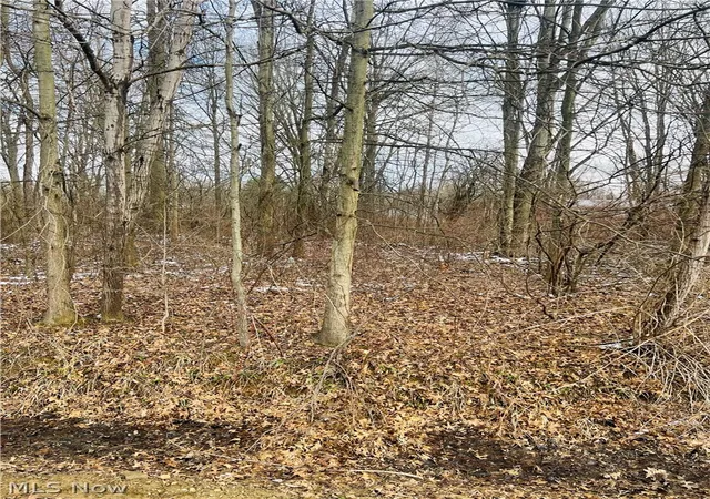 Photo 5 of Land for sale at Lot 115 Breezewood Ln, Orwell, OH 44076 | MLS# 5194406 | Listing updated on 2026-08-26