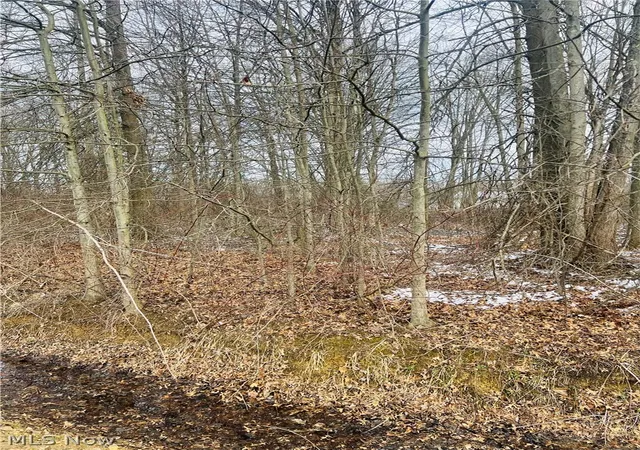 Land for sale at Lot 113 Breezewood Ln, Orwell, OH 44076 | MLS# 5194410