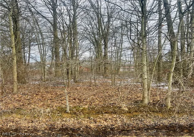 Photo 2 of Land for sale at Lot 113 Breezewood Ln, Orwell, OH 44076 | MLS# 5194410 | Listing updated on 2026-08-26