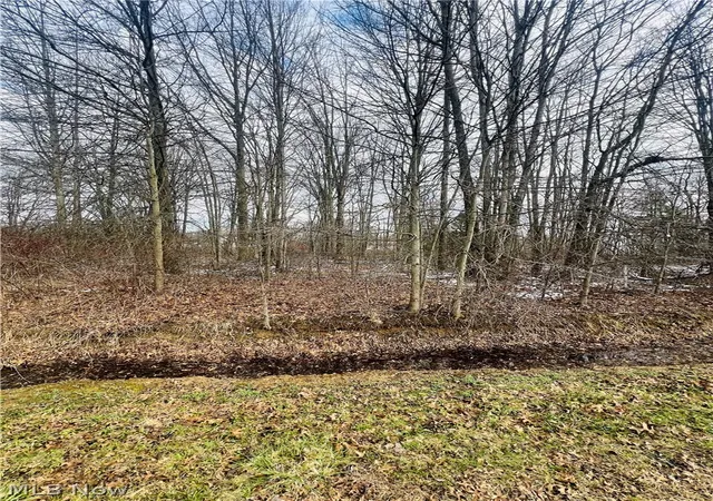 3rd image of Lot 113 Breezewood Ln, Orwell, OH 44076 | MLS# 5194410