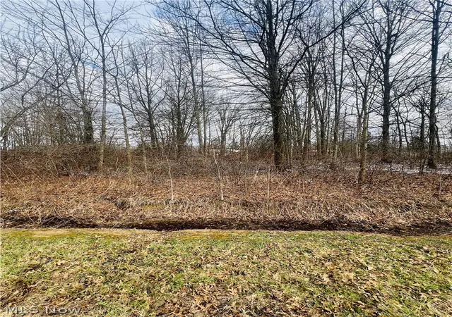 4th image of Lot 113 Breezewood Ln, Orwell, OH 44076 | MLS# 5194410