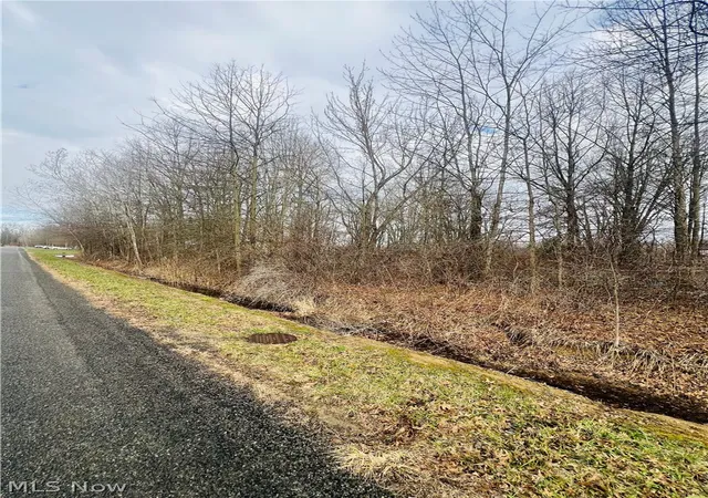 Photo 5 of Land for sale at Lot 113 Breezewood Ln, Orwell, OH 44076 | MLS# 5194410 | Listing updated on 2026-08-26