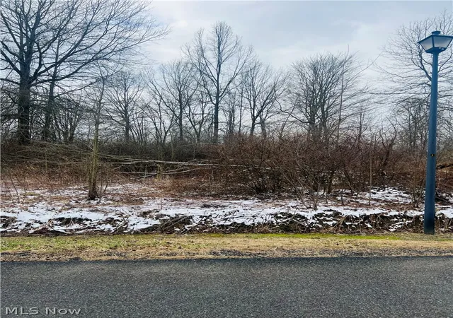 Land for sale at Lot 134 Breezewood Ln, Orwell, OH 44076 | MLS# 5194415