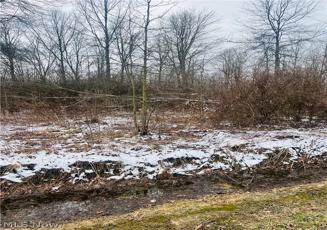 Photo 2 of Land for sale at Lot 134 Breezewood Ln, Orwell, OH 44076 | MLS# 5194415 | Listing updated on 2026-08-26