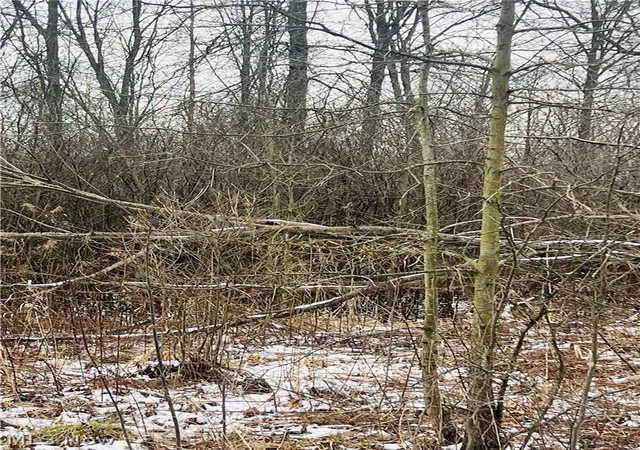 Photo 3 of Land for sale at Lot 134 Breezewood Ln, Orwell, OH 44076 | MLS# 5194415 | Listing updated on 2026-09-16