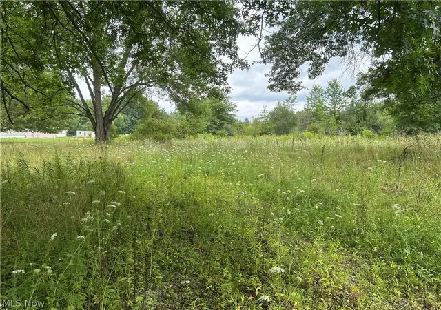 Land for sale at 8670 Fortney Rd, Orwell, OH 44076 | MLS# 5194425