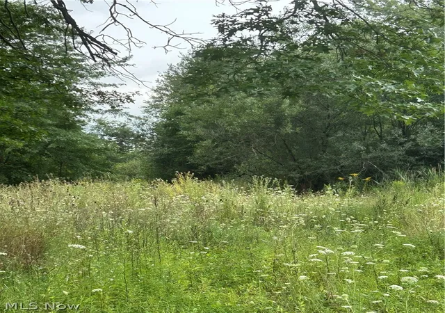 Photo 2 of Land for sale at 8670 Fortney Rd, Orwell, OH 44076 | MLS# 5194425 | Listing updated on 2026-08-26