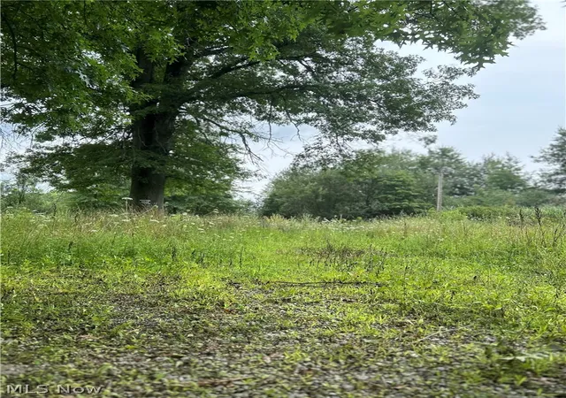 Photo 2 of Land for sale at 8670 Fortney Rd, Orwell, OH 44076 | MLS# 5194425 | Listing updated on 2026-08-26
