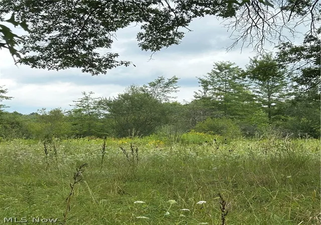 Photo 4 of Land for sale at 8670 Fortney Rd, Orwell, OH 44076 | MLS# 5194425 | Listing updated on 2026-08-26