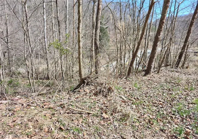 Homes for sale in Clendenin, WV | Route 119, Clendenin, WV 25045 | MLS# 5194094