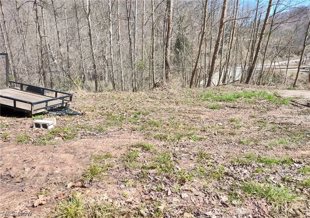 Homes for sale in Clendenin, WV | Route 119, Clendenin, WV 25045 | MLS# 5194094