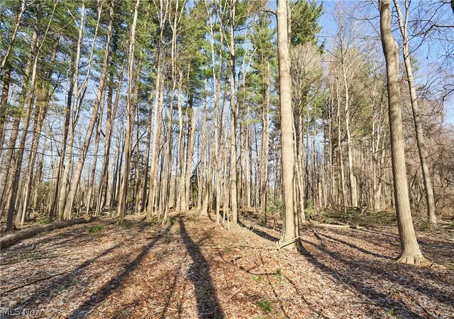 4th image of V/L 20 Ac Ridgewood Rd, Fairlawn, OH 44333 | MLS# 5194941