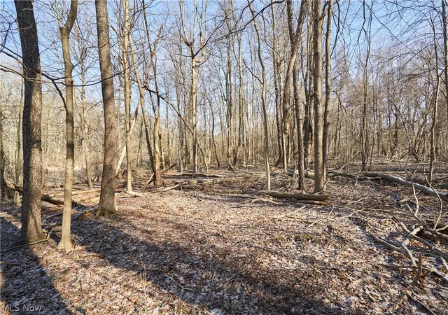 5th image of V/L 20 Ac Ridgewood Rd, Fairlawn, OH 44333 | MLS# 5194941