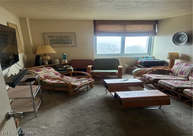 19th image of 12900 Lake Ave #1620, Lakewood, OH 44107 | MLS# 5196058