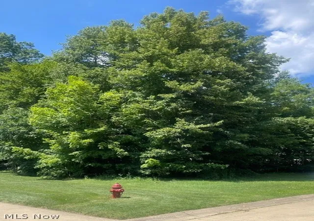 Homes for sale in Wakeman, OH | V/l 258 Stony Brook Ln, Wakeman, OH 44889 | MLS# 5195647