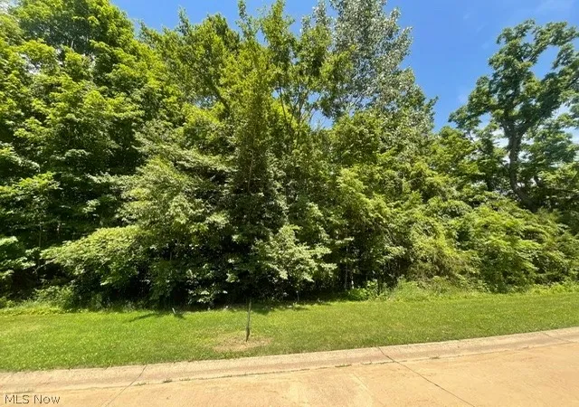 Homes for sale in Wakeman, OH | V/l 284 Stony Brook Ln, Wakeman, OH 44889 | MLS# 5194830