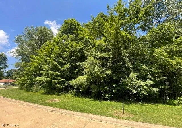 Homes for sale in Wakeman, OH | V/l 284 Stony Brook Ln, Wakeman, OH 44889 | MLS# 5194830