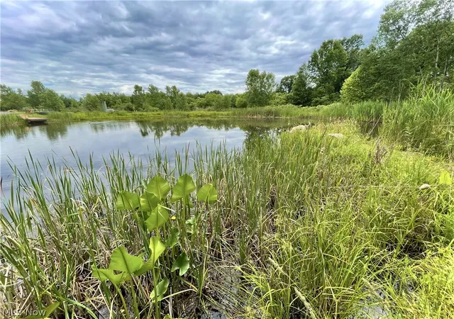 4th image of 100 Cottage Grove Dr, Youngstown, OH 44505 | MLS# 5196113