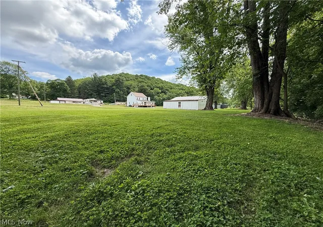 Homes for sale in Amsterdam, OH | 11820 State Route 43, Amsterdam, OH 43903 | MLS# 5196251