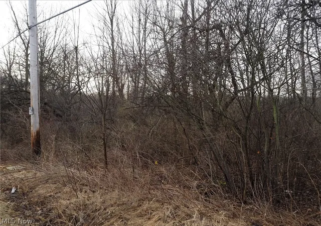 1st image of V/l 2 Bartholomew Road, Chagrin Falls, OH 44023 | MLS# 5195700