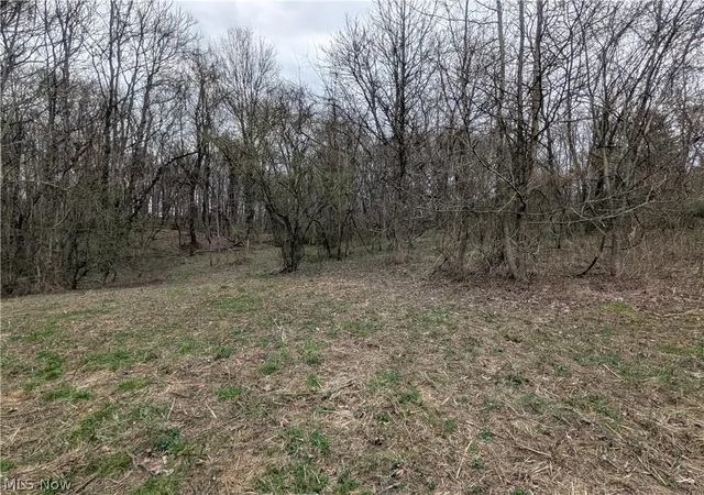 Photo 3 of Land for sale at North, Glenford, OH 43739 | MLS# 5196902 | Listing updated on 2026-06-05
